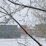 IMG_9894.jpg