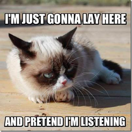 are you listening to me are you listening to me