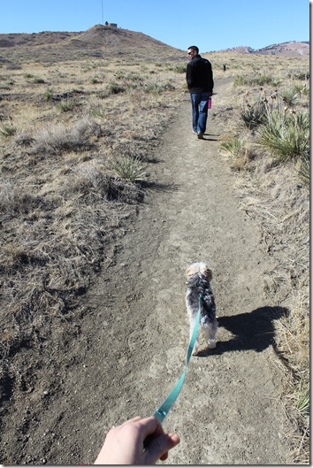 A Hike for the Dogs