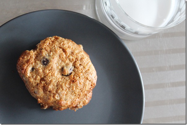 Recipe Archive: Coconut Chocolate Chip Cookies