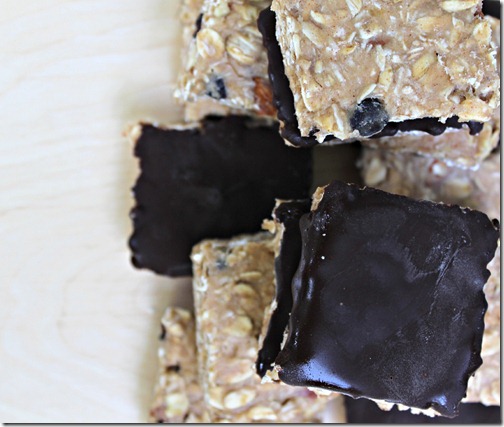 No Bake Protein Bars