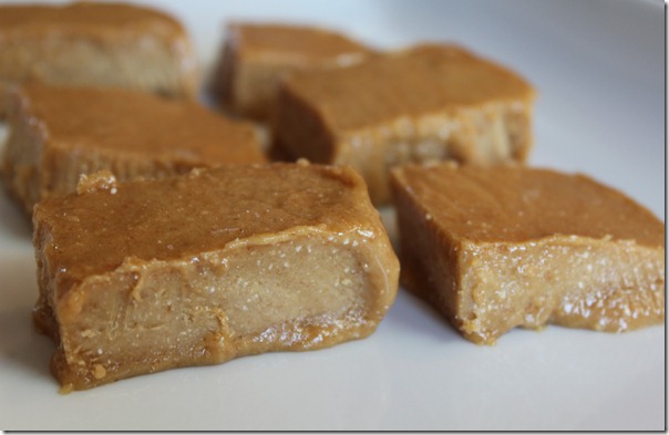 Peanut Butter Protein Fudge