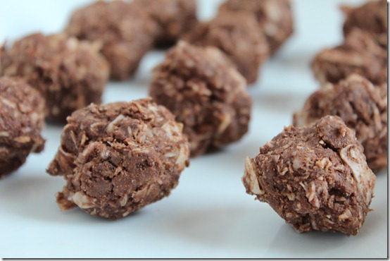 Chocolate Macaroons {Grain-free, Sugar-Free, High-Protein option}