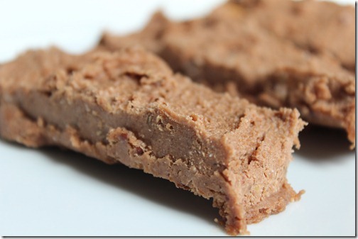 No Bake Cocoa Coconut Protein Bars (Grain-Free)