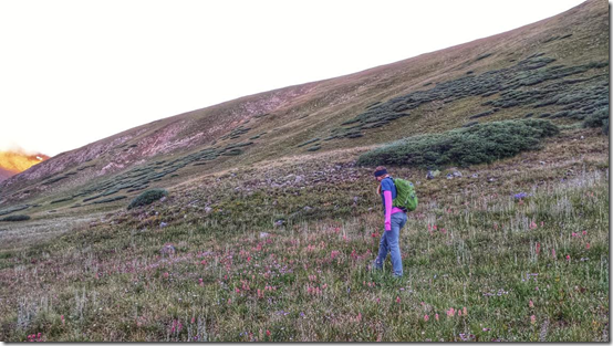 Hiking Grays and Torreys Peaks–14ers. Well, Mostly.