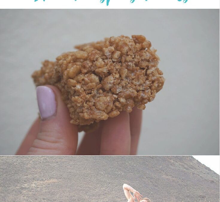 Homemade Post-Workout Protein Rice Krispie Treats Recipe