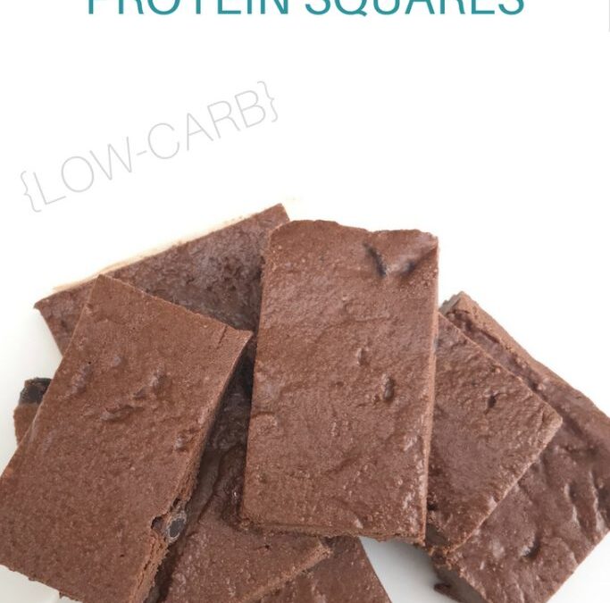 Fudgy Brownie Low Carb Protein Bars